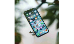 Sociale netwerken die de planeet willen redden