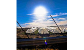 Efficiënte energie bij landbouw Efficiënte energie bij landbouw